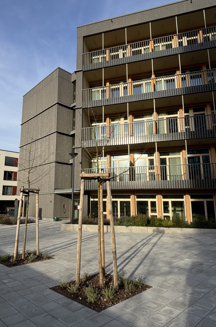 Baulinie-Architekten_Projekt_Der Hospital1